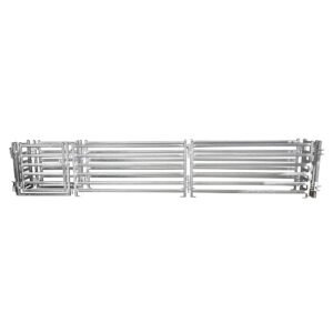 5 Meter Sheep Draft Race